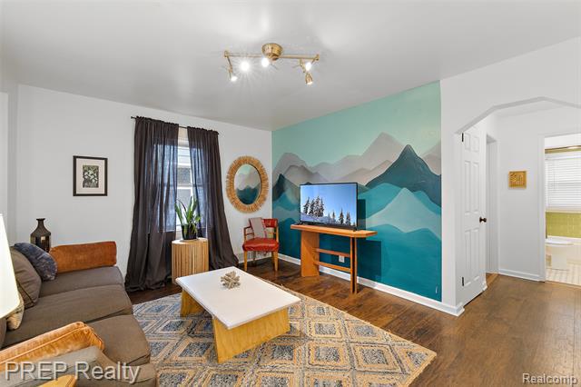 Living room with mountain mural